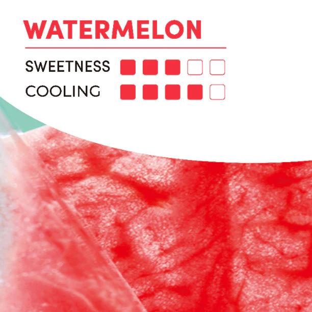Watermelon 3ml Single